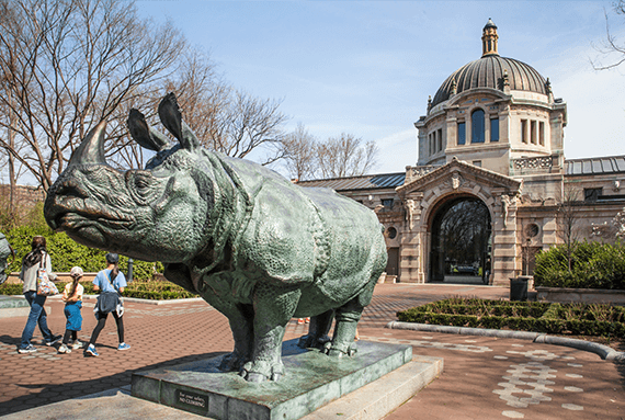 bronx zoo