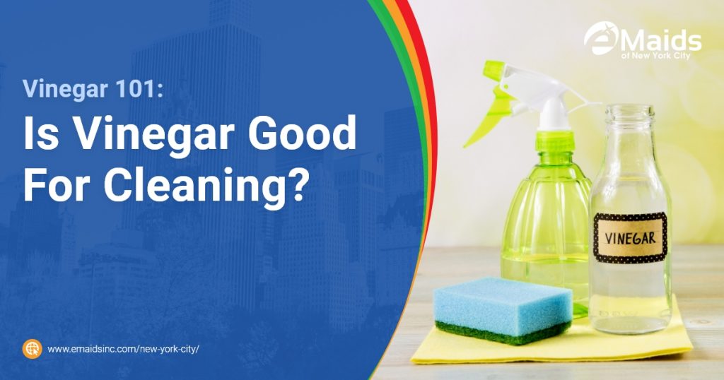 Vinegar 101: Is Vinegar Good For Cleaning?