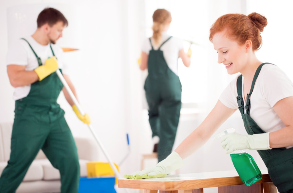 professional cleaners working